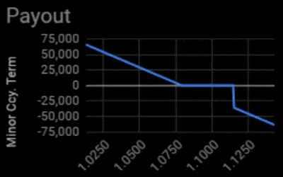 Forward Extra: FX hedging strategy
