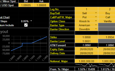 Hedging case study