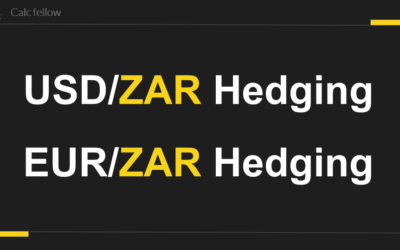 vs. / ZAR Hedging ideas