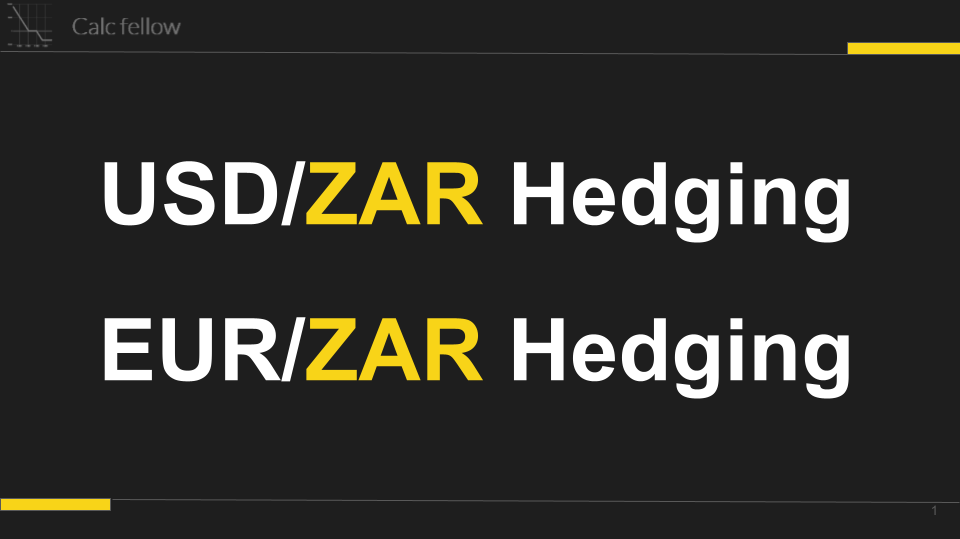 vs. / ZAR Hedging ideas