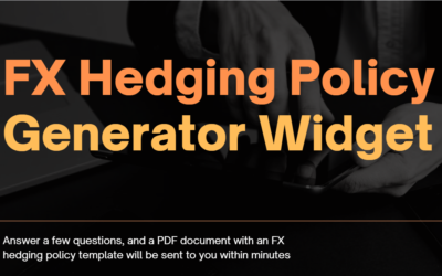 FX Hedging Policy